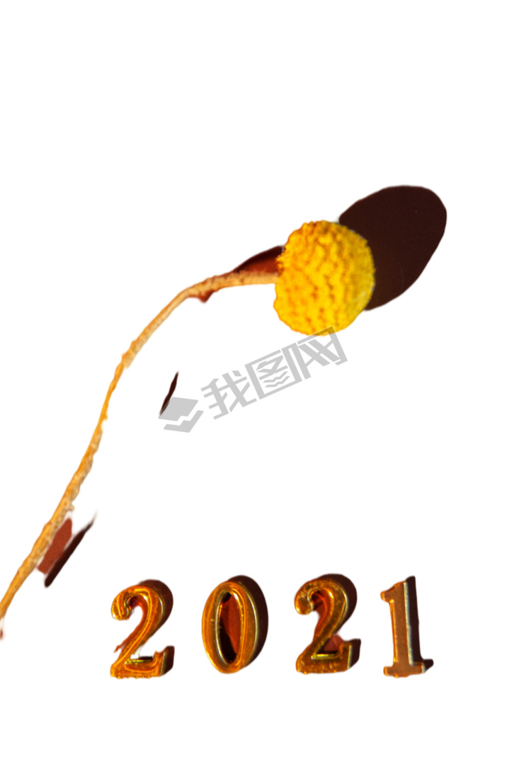 ɫ2021Ԫ