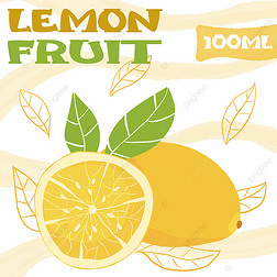 果汁标签彩色的柠檬水果模板