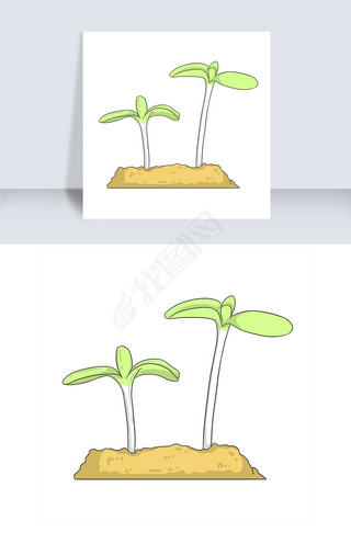 手绘种子发芽插画