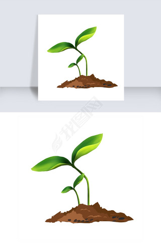手绘种子发芽插画