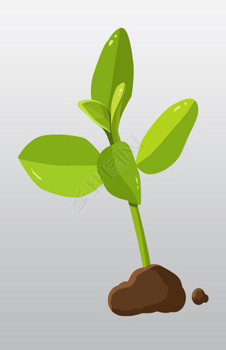 手绘发芽植物插画