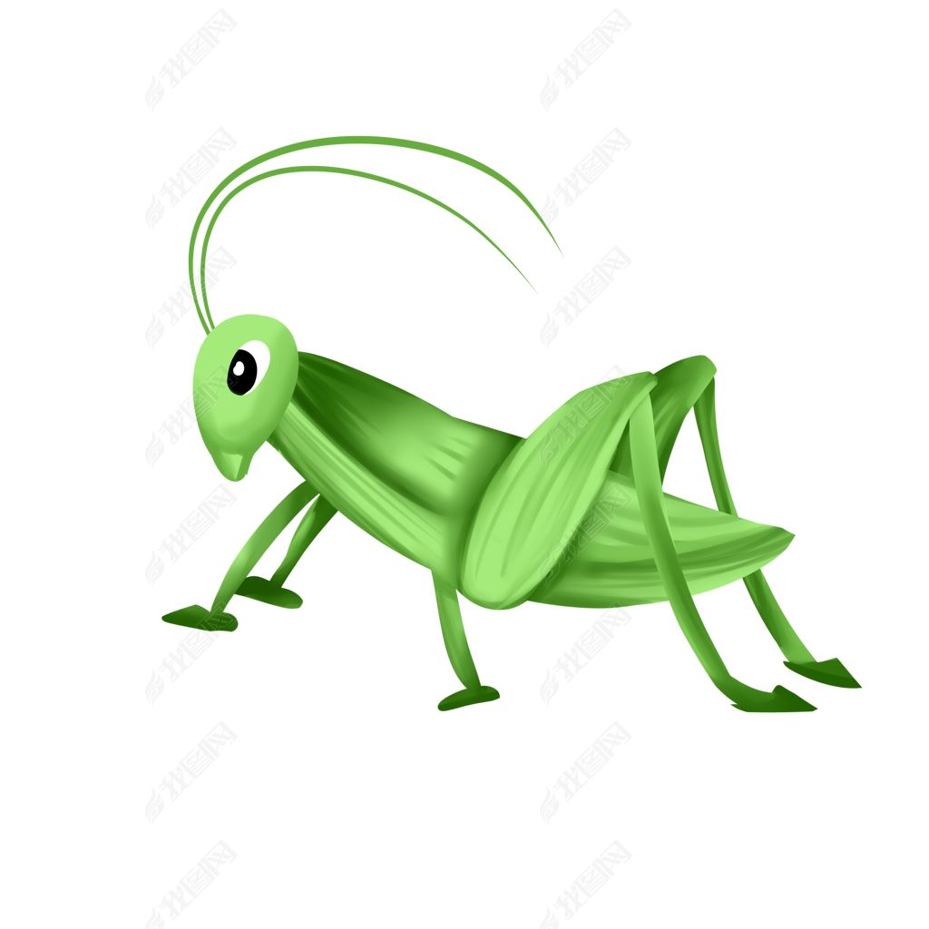 绿色蝈蝈昆虫
