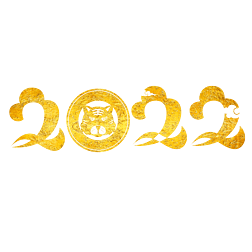 ̽2022װ