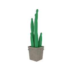 C4Dֲֲ