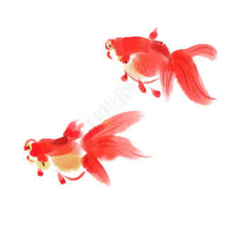 红色的金鱼专题模板-红色的金鱼图片素材下载-我图网