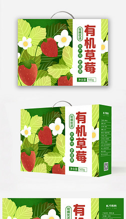 水果礼盒草莓绿色简约手提包装