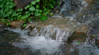 1080岩石山溪流水淙淙实拍视频