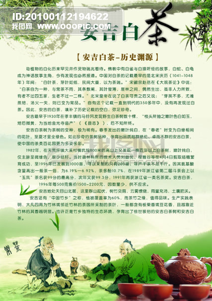 原创安吉白茶宣传版权可商用