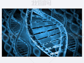 Dna ģ