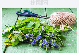 Herbs are prepared for drying 