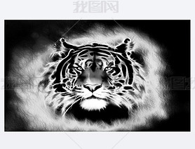 painting of a bright mighty tiger head on a soft toned abstract background eye contact. Black and wh