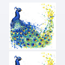 Exotic peacock T-shirt graphics. peacock illustration with splash watercolor textured  background. u