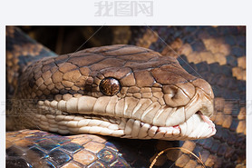 ̦Ŧ?ȦԦͦҦ Ӧ? python ?Ħ