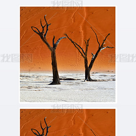 Deadvlei˹ױ