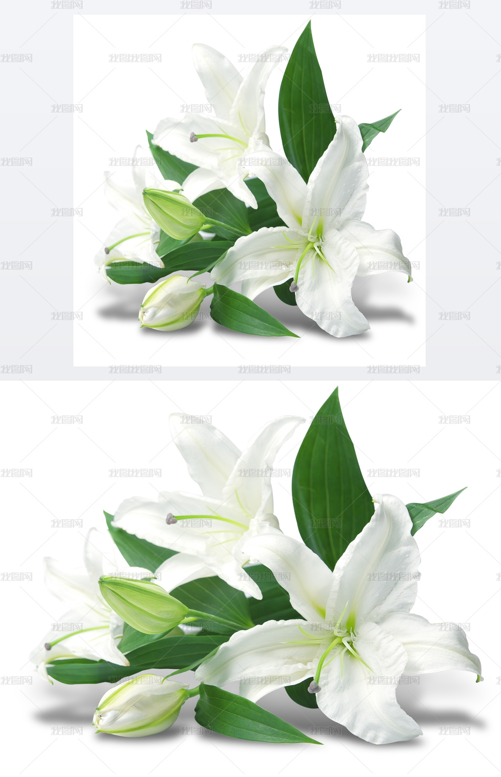 白百合花束图片素材模板下载 节日假日 我图网 白百合花束图片素材模板下载 节日假日 我图网