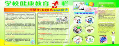 学校健康教育H1N1预防流感宣传栏展板