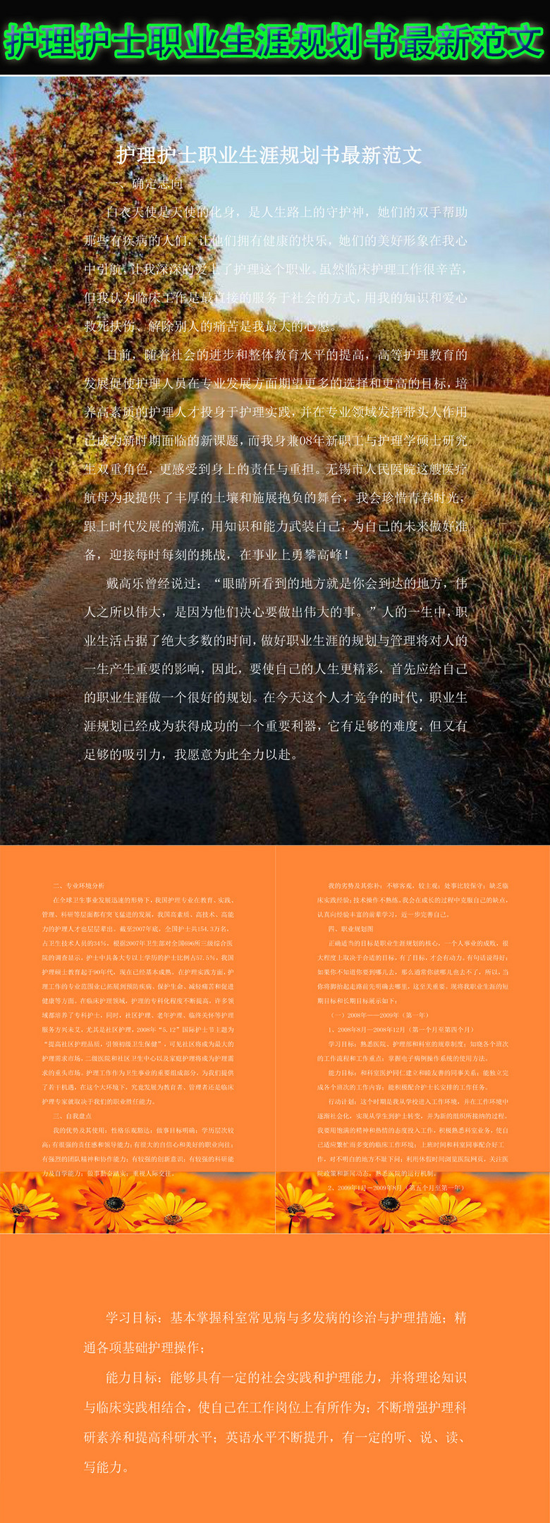 护理护士职业生涯规划书范文