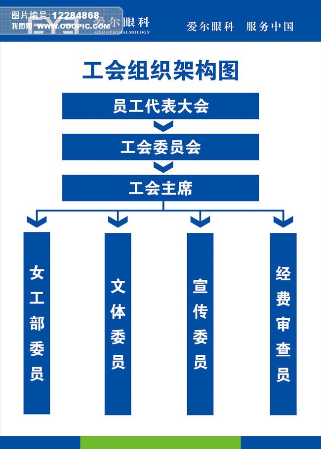 工会组织架构图