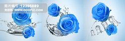 蓝色玫瑰花冰晶画