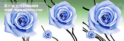蓝色玫瑰无框画三联画