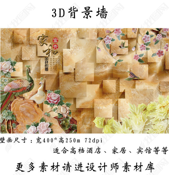 3Dȸǽ