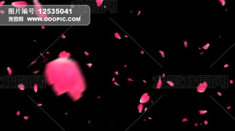 玫瑰花瓣视频素材婚礼片头LED模板