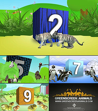 数字英文动物教学视频模板素材_高清MP4格式