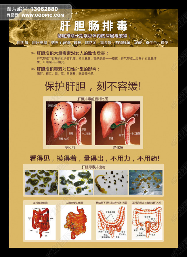 原创肝胆肠排毒广告海报
