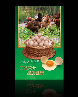 鸡蛋海报psd模板下载-编号13917301-pop海报-我图网