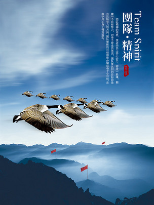 原创大雁人字形往南飞海阔天空团队精神宣传海报版权可商用