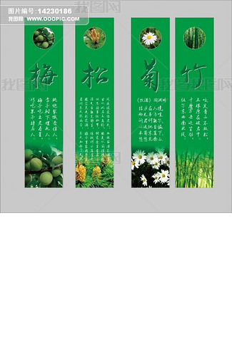梅松菊竹专题模板-梅松菊竹图片素材下载-我图网