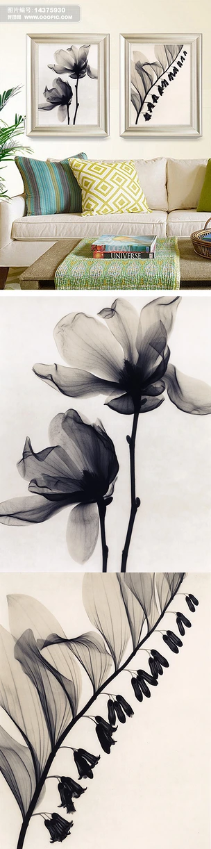 黑白挂画透明花卉曼陀罗美克美家装饰画