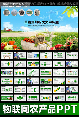 农产品物联网互联网+电子商务PPT模版