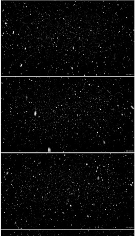 带通道唯美下雪雪花飘落视频素材
