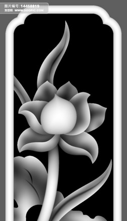 浮雕灰度图荷花7