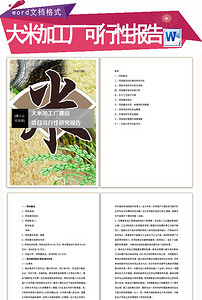 大米加工厂建设项目可行性研究报告图片设计素