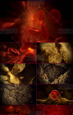 高清3D动画演示人体造血功能血液循环视频