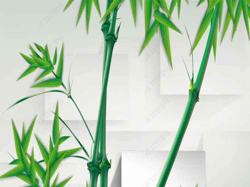 3d玄关竹子