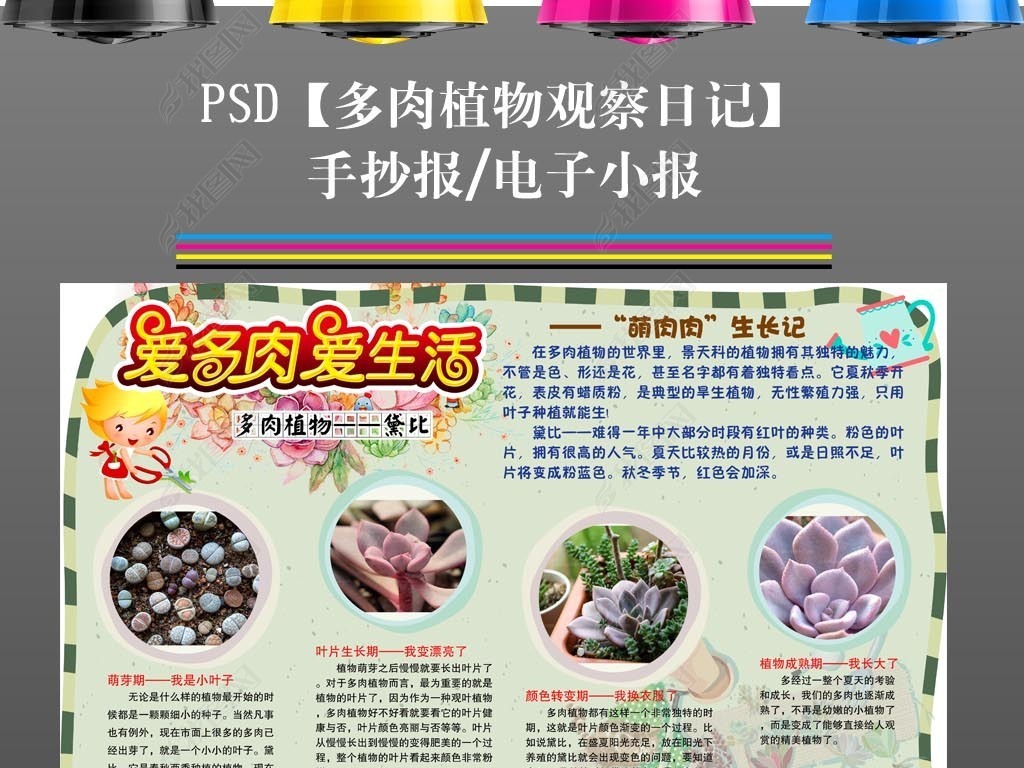 多肉植物生长过程文字图片