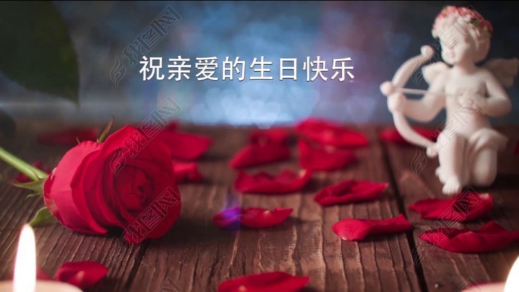 AE模板玫瑰生日快乐图文祝福微信小视频