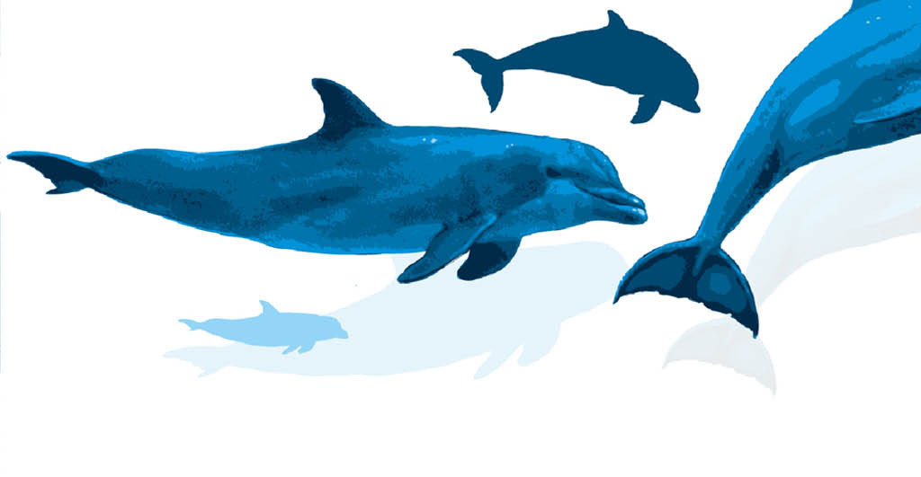 装饰画 北欧装饰画 动物装饰画 > 北欧简约创意海洋蓝色海豚系列 素材