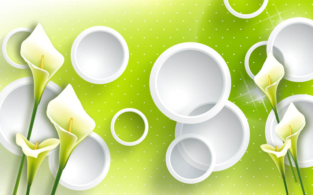 绿色马蹄莲3d立体圆圈电视背景墙