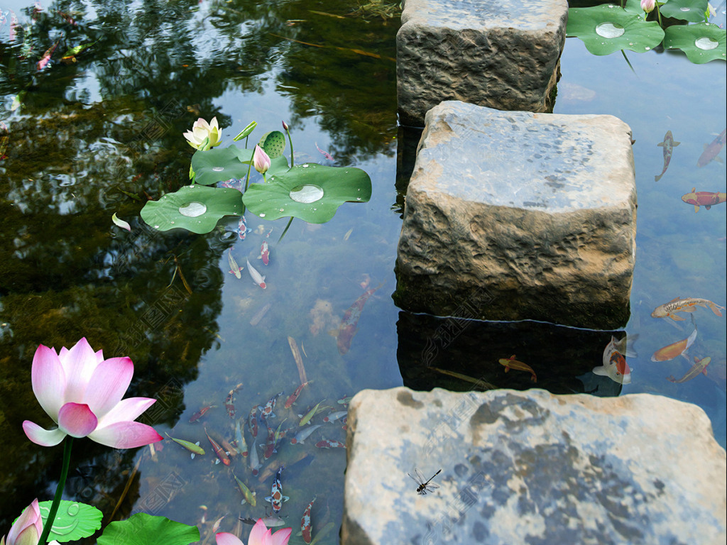 小溪石墩桥荷花流水3d地板地砖地画