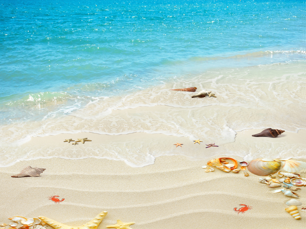 夏日贝壳海星沙滩3d地板画