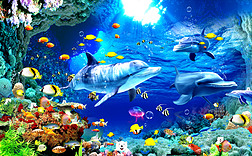 3D海底世界立体海豚电视背景墙挂画