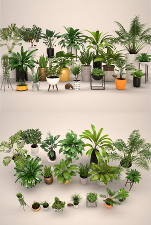 20款逼真观赏植物3d模型