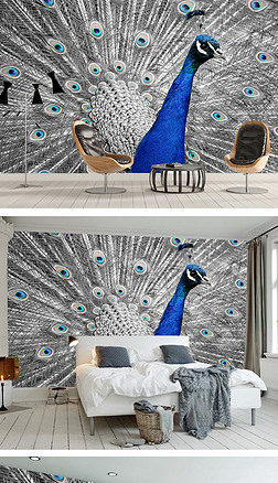 现代简约 孔雀 墙纸壁画专题模板-现代简约 孔雀 墙纸壁画图片素材