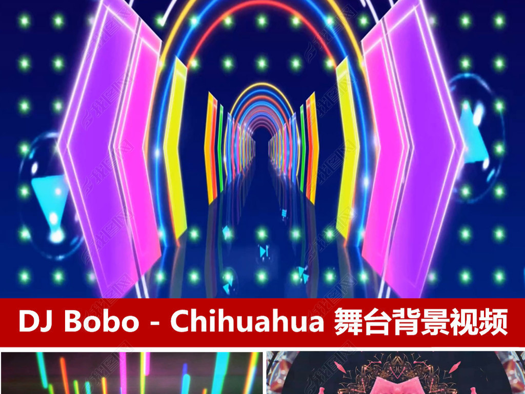 DJBobo-Chihuahua