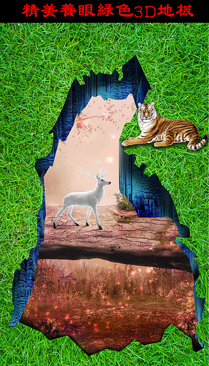 童话森林动物王国3d立体画地板地画
