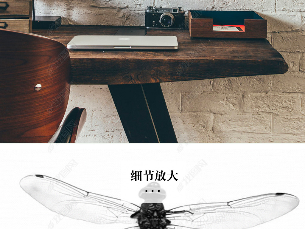 时尚英文蜻蜓树叶黑白装饰画简约